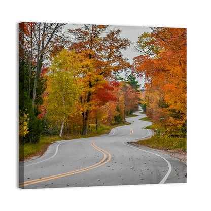 Winding Autumn Highway Wall Art