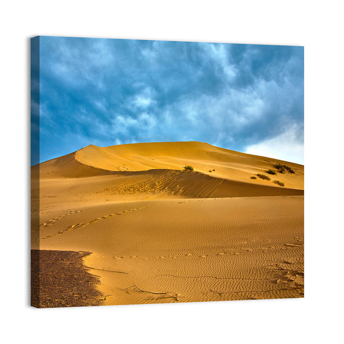Altyn Emel Sand Dunes Wall Art as a canvas print