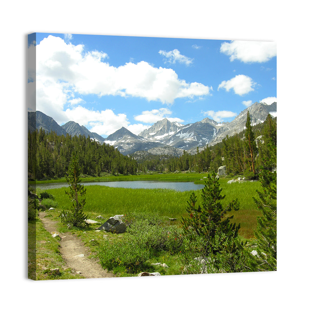 Sierra Nevada Trail to Snow Capped Peaks Wall Art