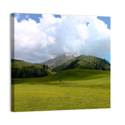 Seri Paya Mountain Meadow Wall Art