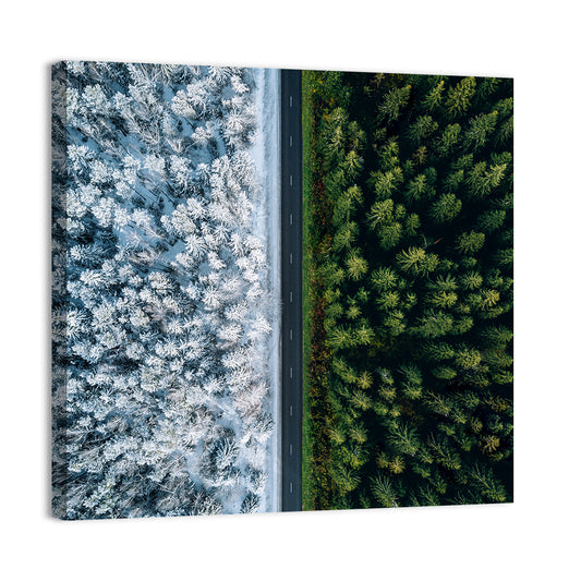 Summer & Winter Forests Wall Art