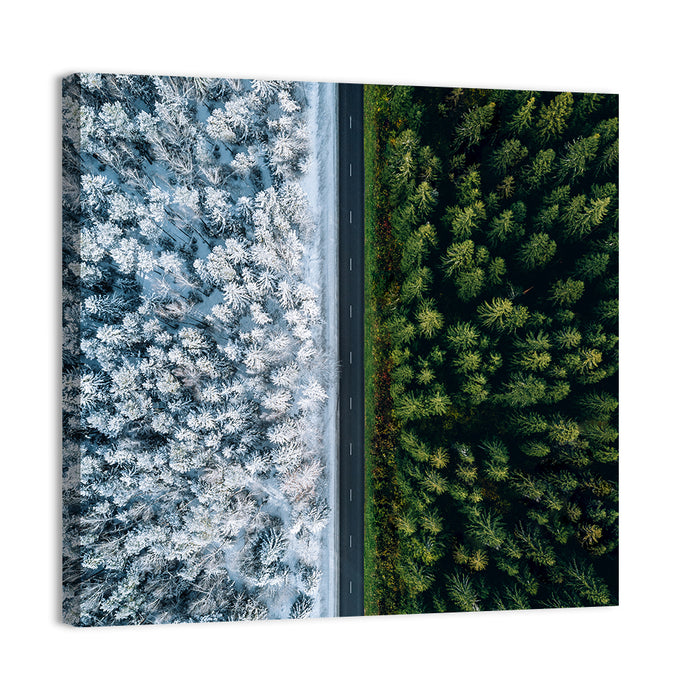 Summer and Winter Forests Wall Art as a canvas print