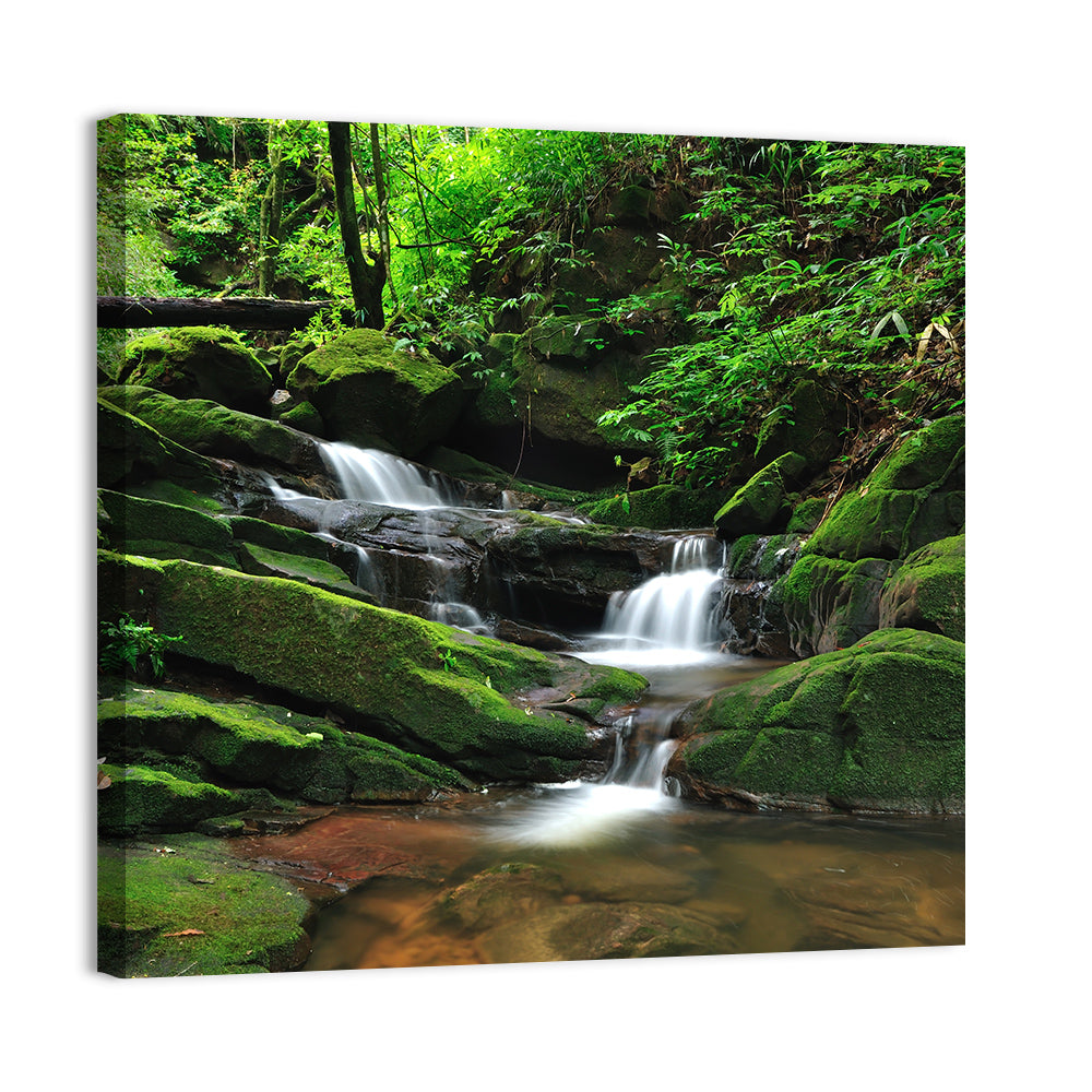 Mossy Rainforest Stream Wall Art