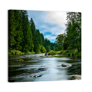 Bavarian Forest River Wall Art