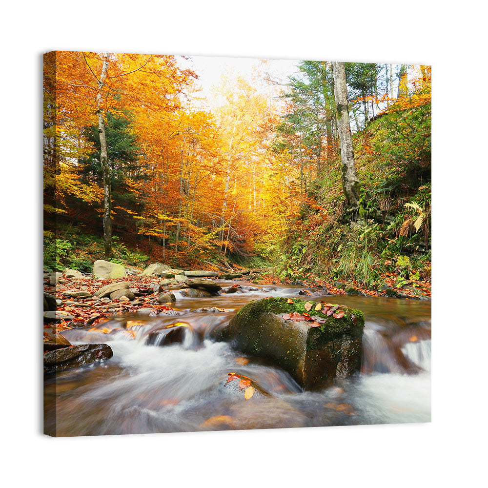 Forest Stream in Autumn Wall Art