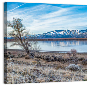 Washoe Lake Wall Art