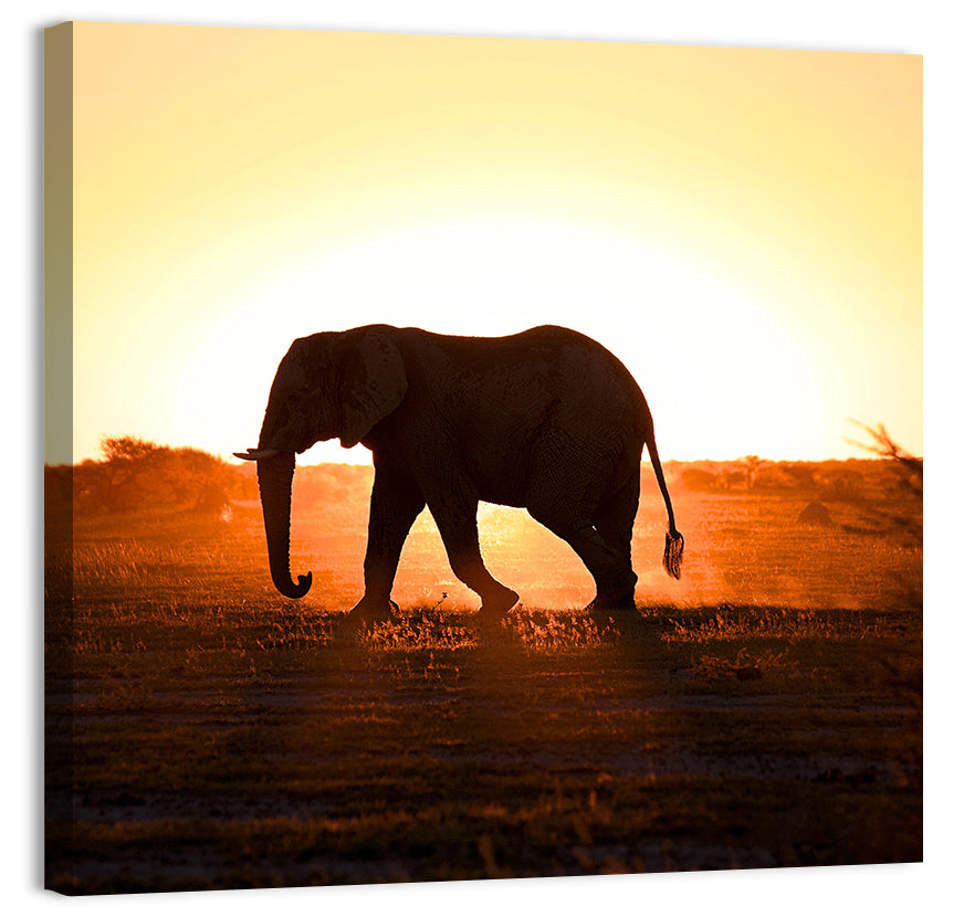 Golden Hour Elephant Silhouette Wall Art