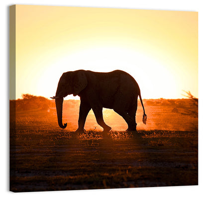 Golden Hour Elephant Silhouette Wall Art