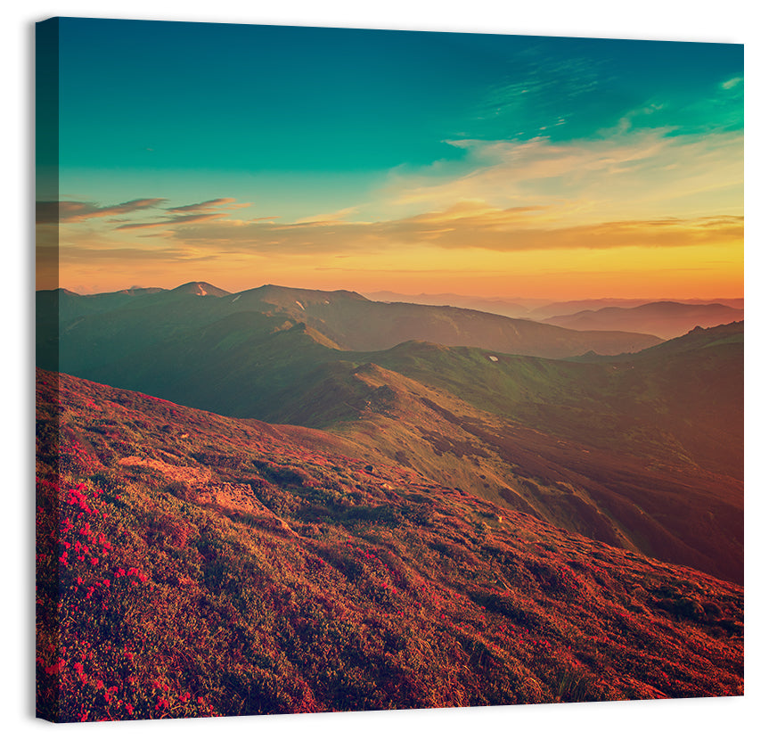 Alpine Rhododendrons at Golden Sunrise Wall Art
