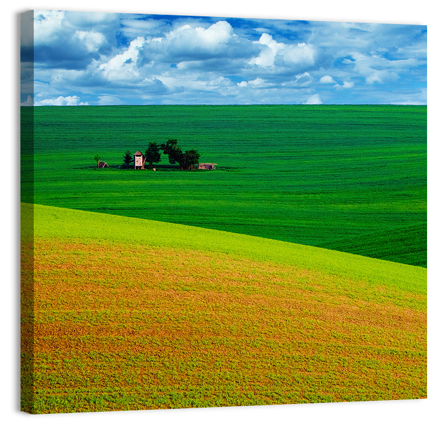 Golden Field and Green Hillside Wall Art