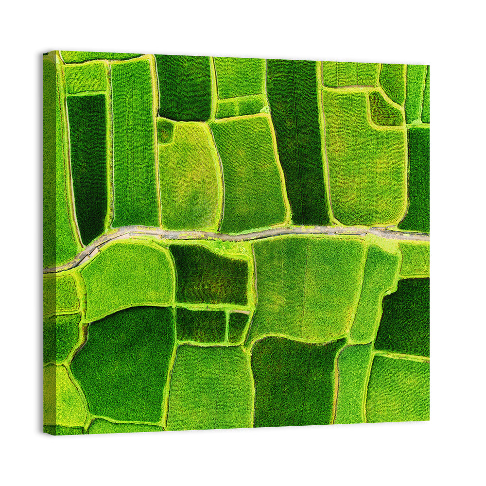 Verdant Rice Terrace Grid Wall Art