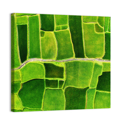Verdant Rice Terrace Grid Wall Art