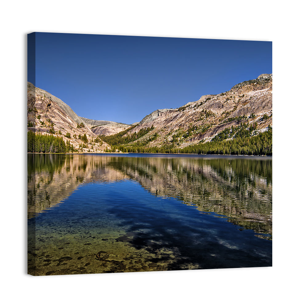 Tenaya Lake Reflection Wall Art