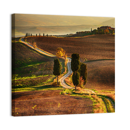 Val D’orcia Winding Golden Road Wall Art