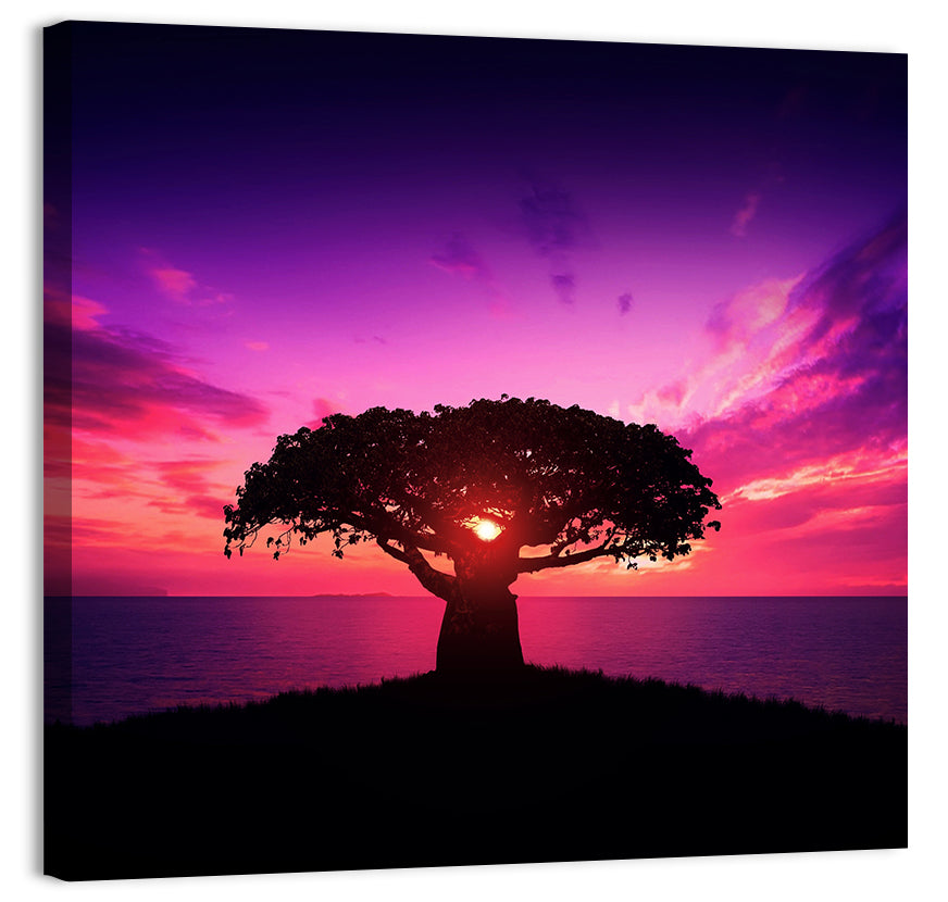 Baobab Sunset Silhouette Wall Art