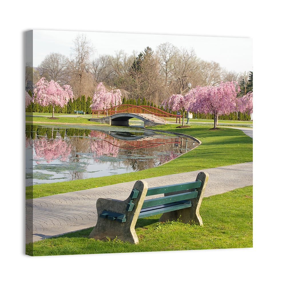 Harrisburg Park Cherry Blossoms Wall Art