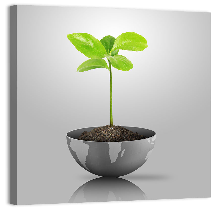Young Plant on Globe Wall Art