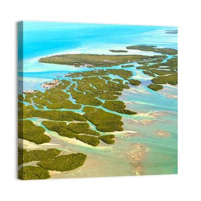 Florida Keys Mangrove Islands Wall Art