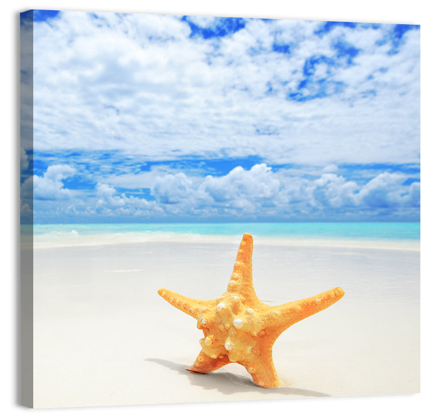 Minimalist Yellow Starfish on Turquoise Shore Wall Art