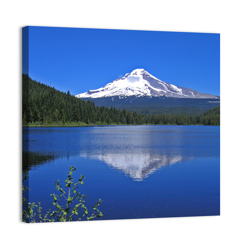 Mount Hood at Trillium Lake Wall Art