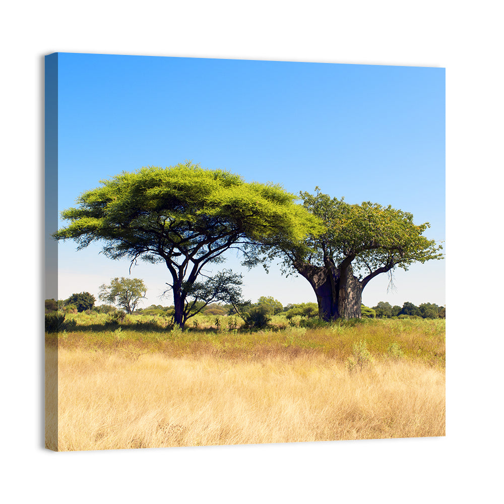 Acacia and Baobab Trees Wall Art