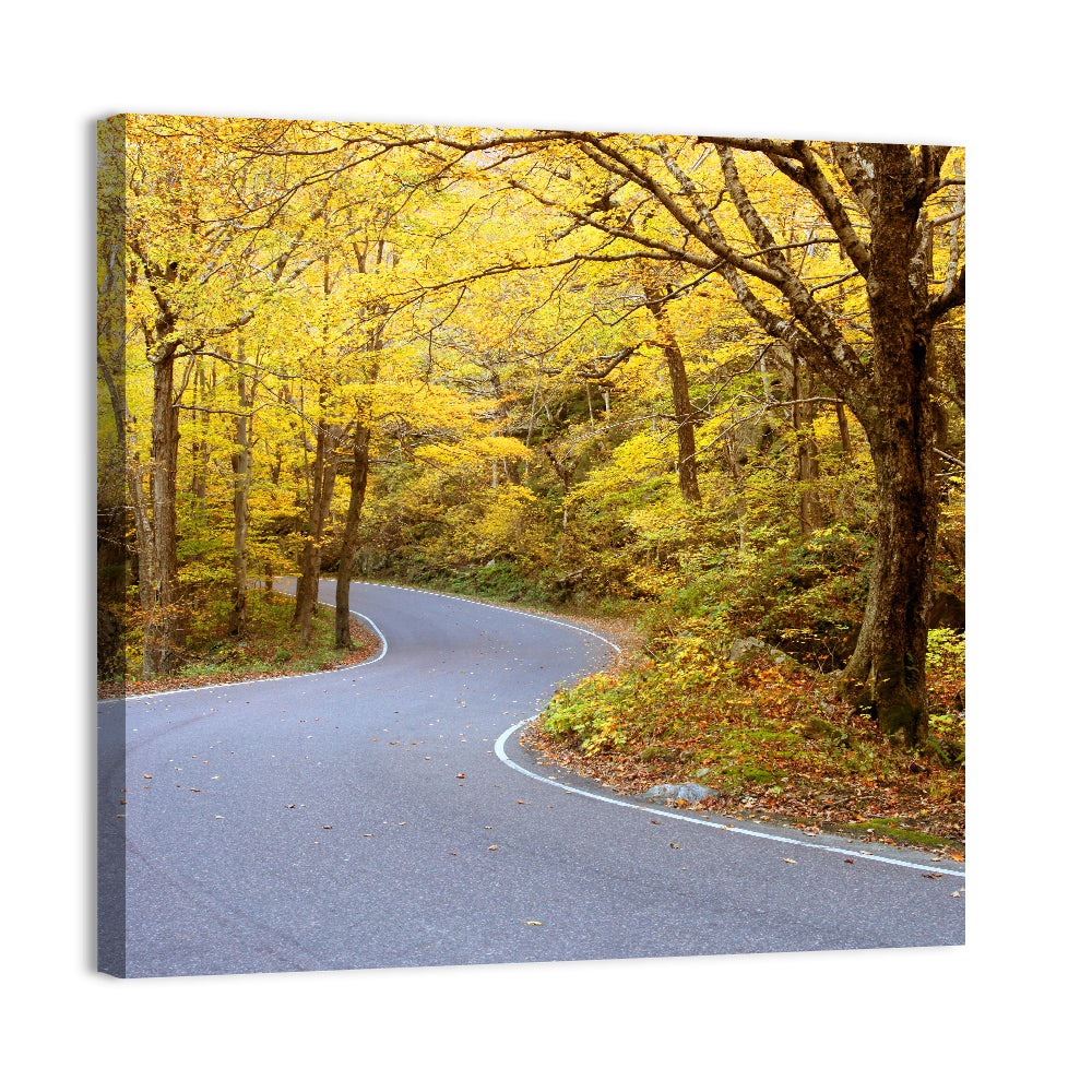 Winding Road Through Autumn Foliage Wall Art