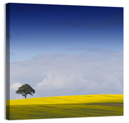 Mountain Rapeseed Field Wall Art