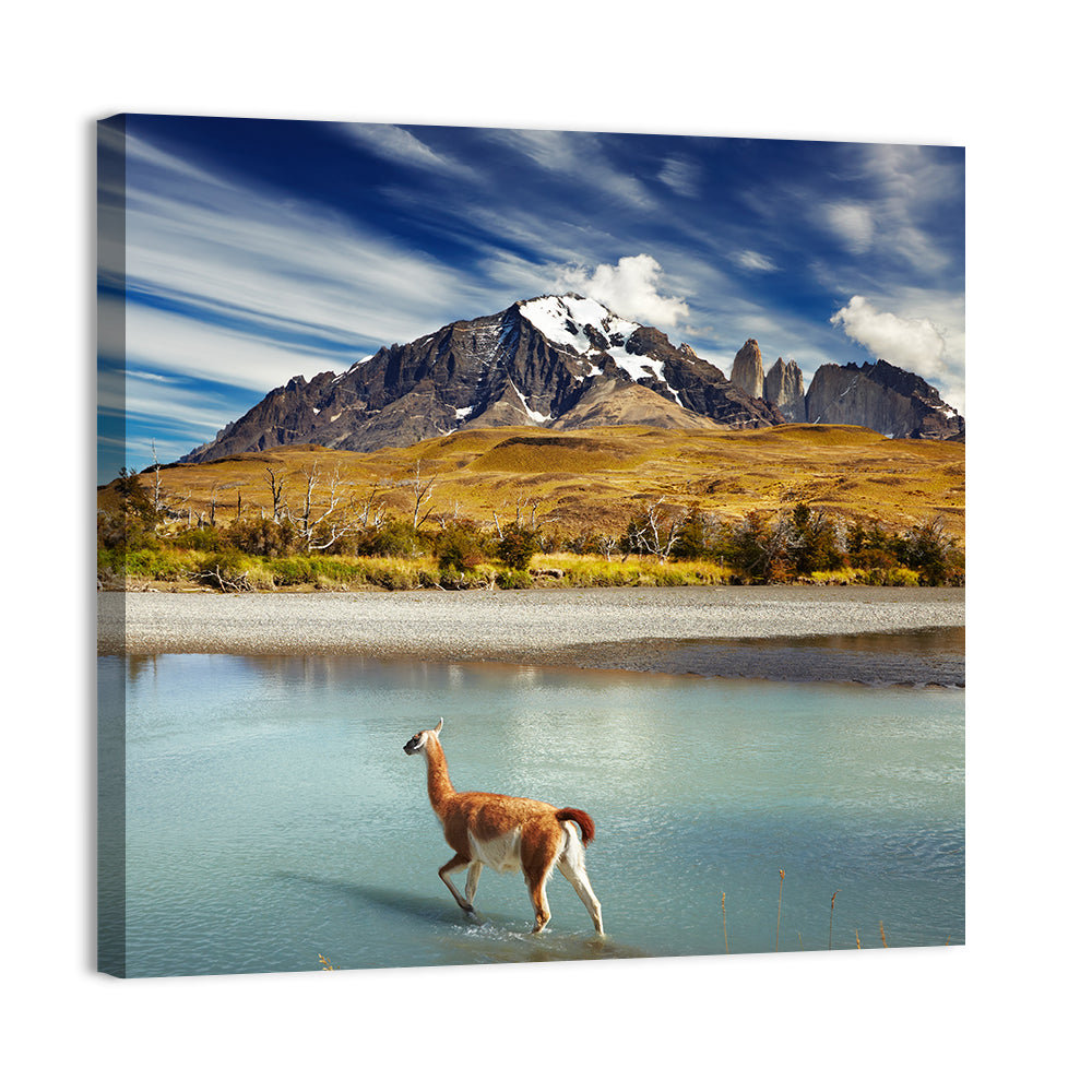 Torres Del Paine, Patagonia Wall Art