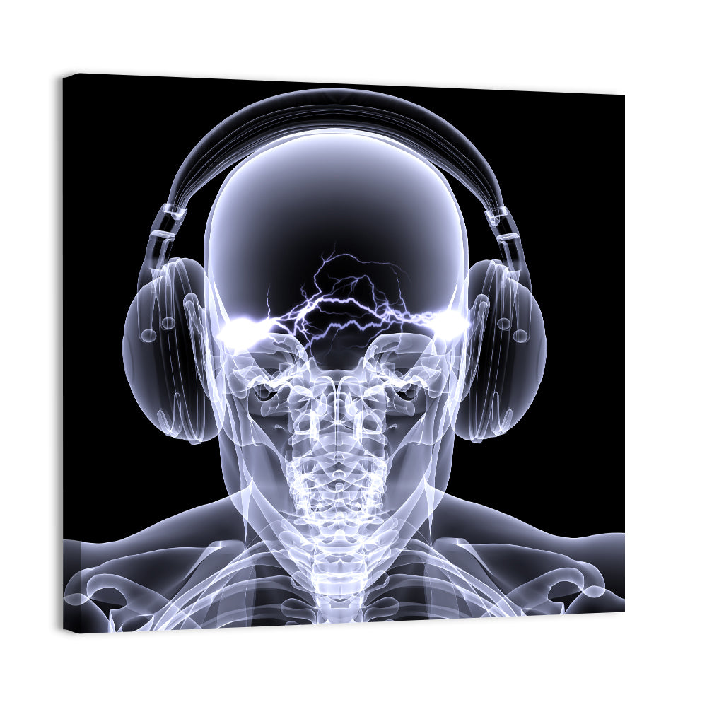 Headphones & Skeleton X-Ray Wall Art