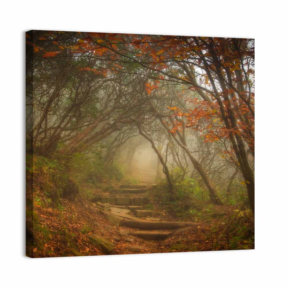 Craggy Garden Path Wall Art