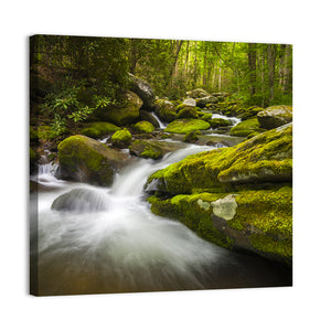 Gatlinburg Park Stream Wall Art