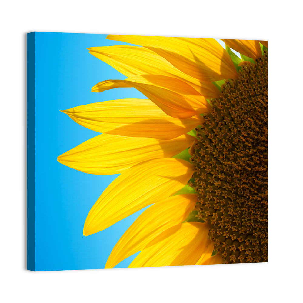 Sunflower Close-up Wall Art