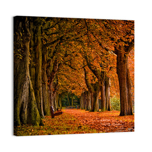 Forest Autumn Pathway Wall Art