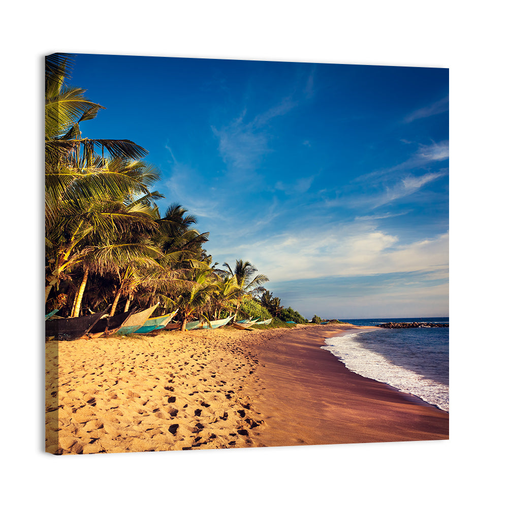 Mirissa Beach Morning Light Wall Art