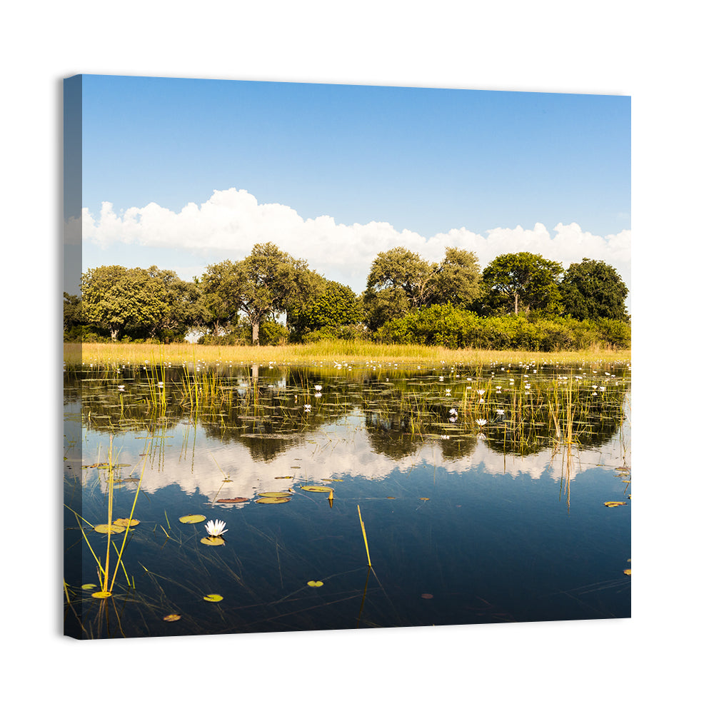 Okavango Delta Waterlilies Wall Art