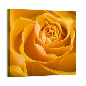 Yellow Rose Wall Art