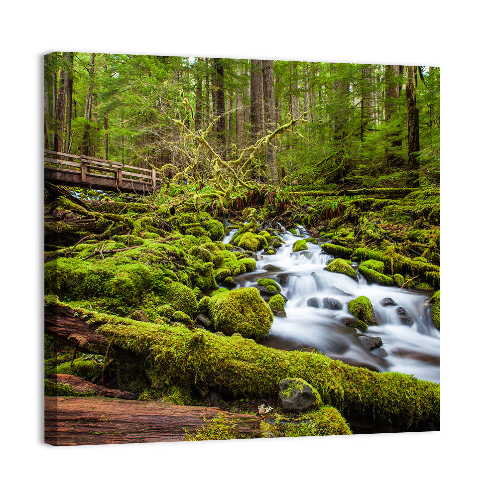 Mossy Cascade Forest Stream Wall Art