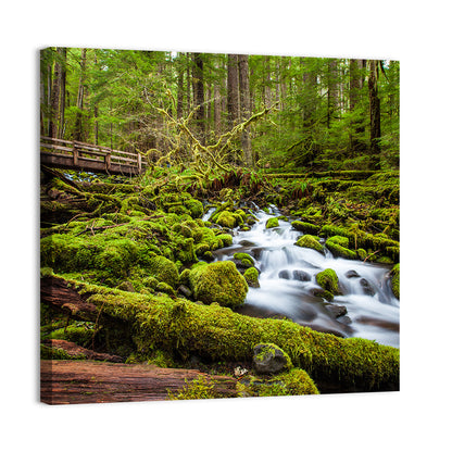 Mossy Cascade Forest Stream Wall Art