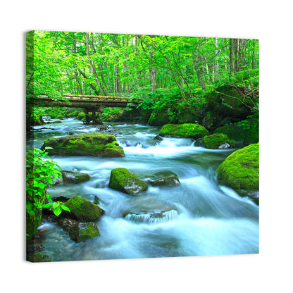 Mossy Forest Stream Wall Art