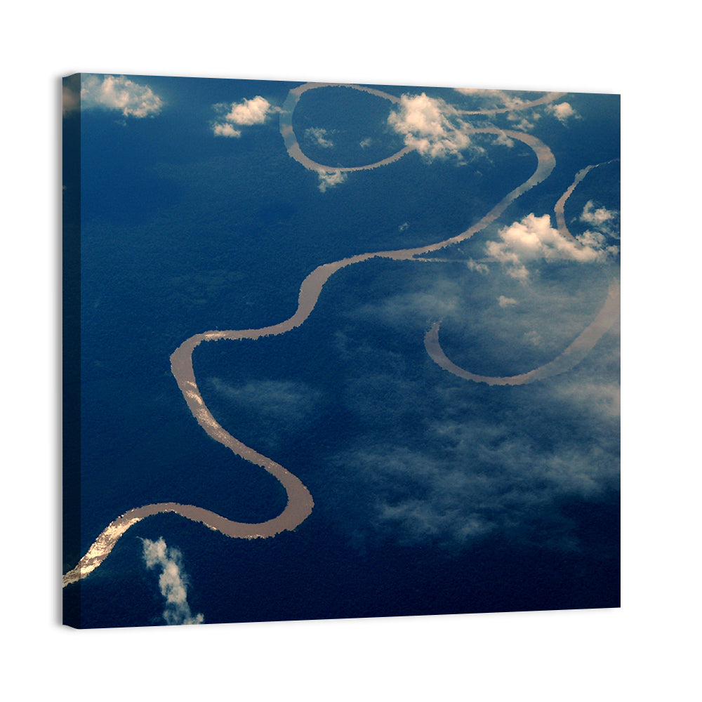 Sunlit Meander of the Amazon River Wall Art
