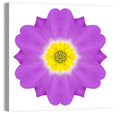 Kaleidoscopic Primrose Mandala Wall Art