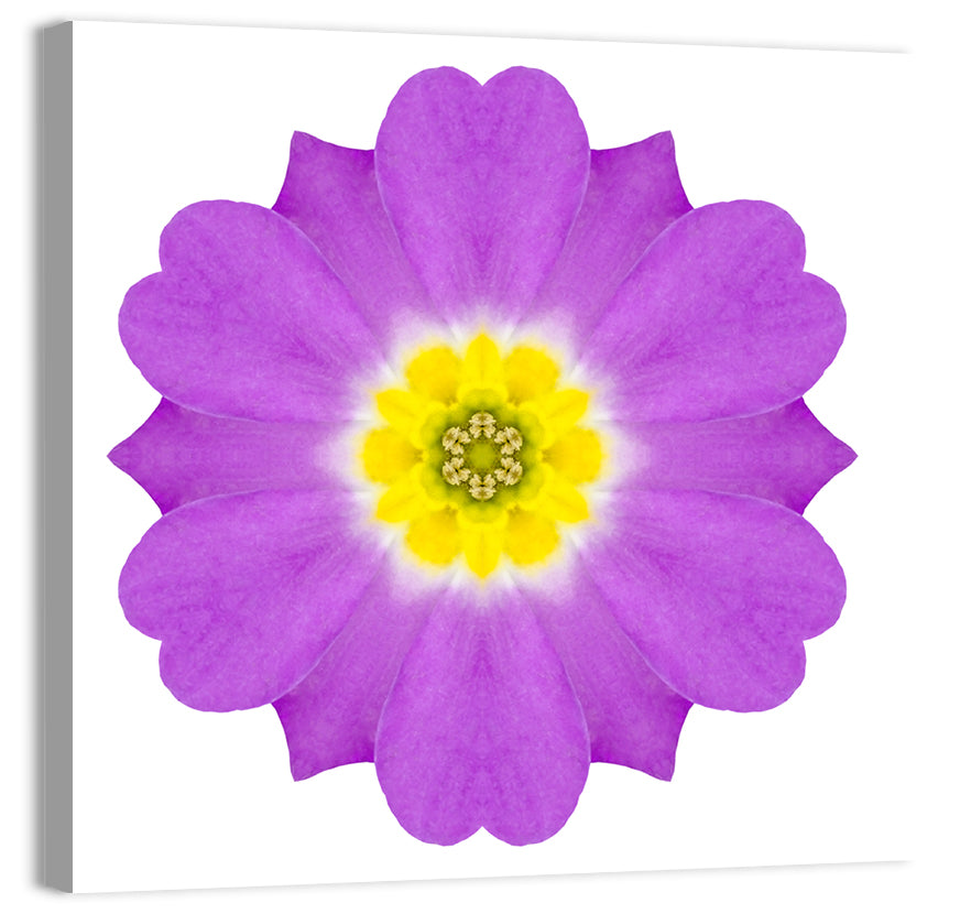 Kaleidoscopic Primrose Mandala Wall Art, canvas print, square