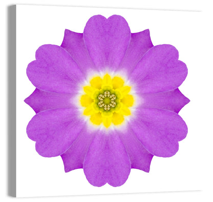 Kaleidoscopic Primrose Mandala Wall Art