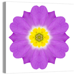 Kaleidoscopic Primrose Flower Wall Art