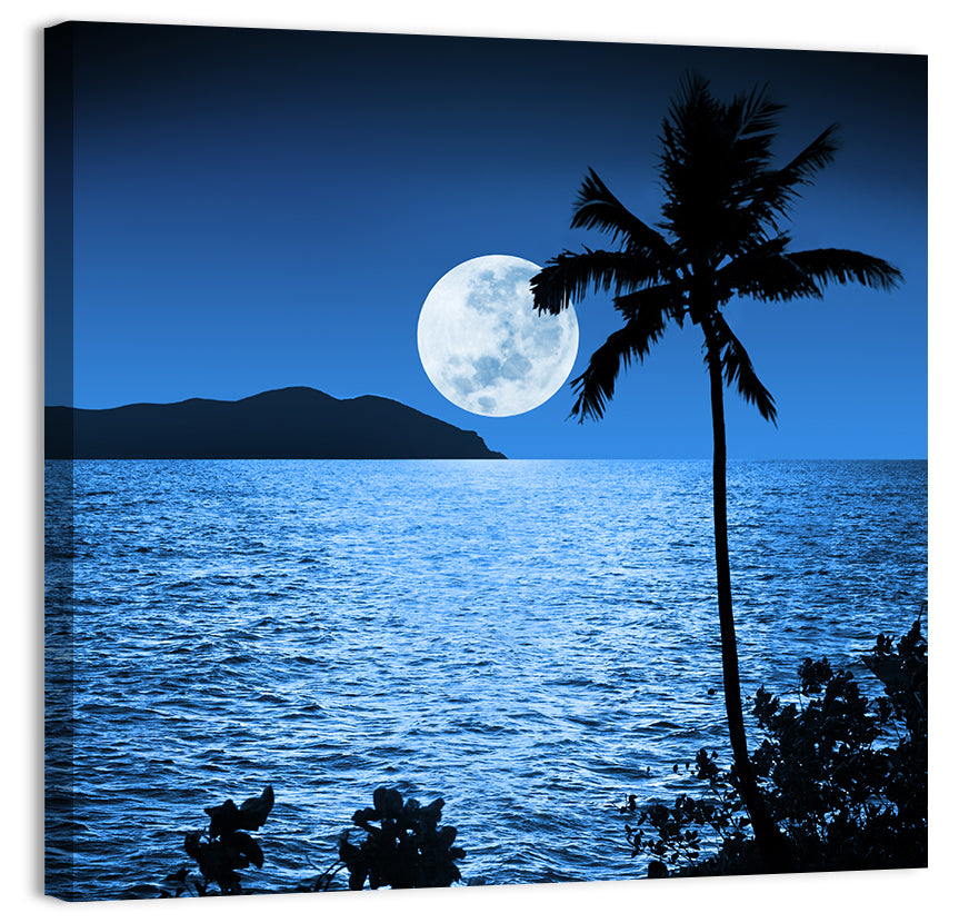 Moonlit Tropical Shore Silhouette Wall Art