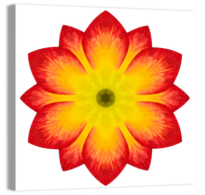 Primrose Radial Mandala Wall Art