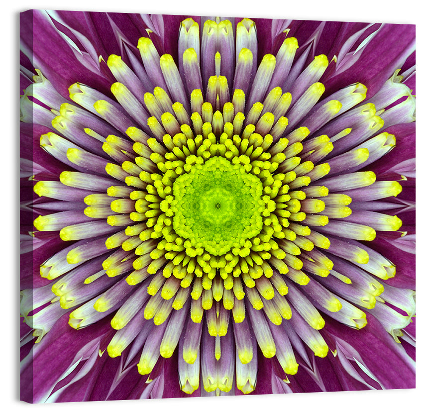 Mandala Chrysanthemum Macro Wall Art