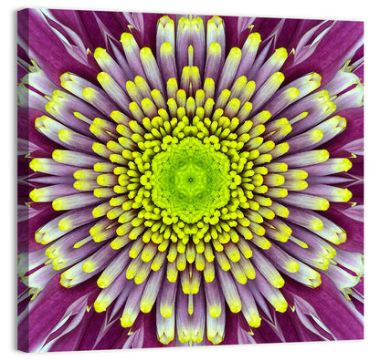 Mandala Chrysanthemum Macro Wall Art