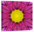 Kaleidoscopic Daisy Mandala Close Up Wall Art