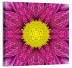 Kaleidoscopic Daisy Mandala Close Up Wall Art